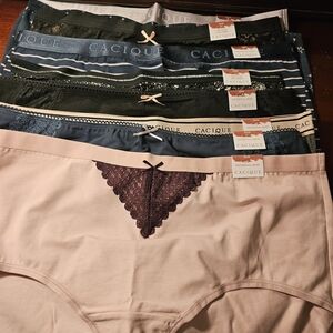 Cacique Women's Full Briefs Assorted Colors 18/20